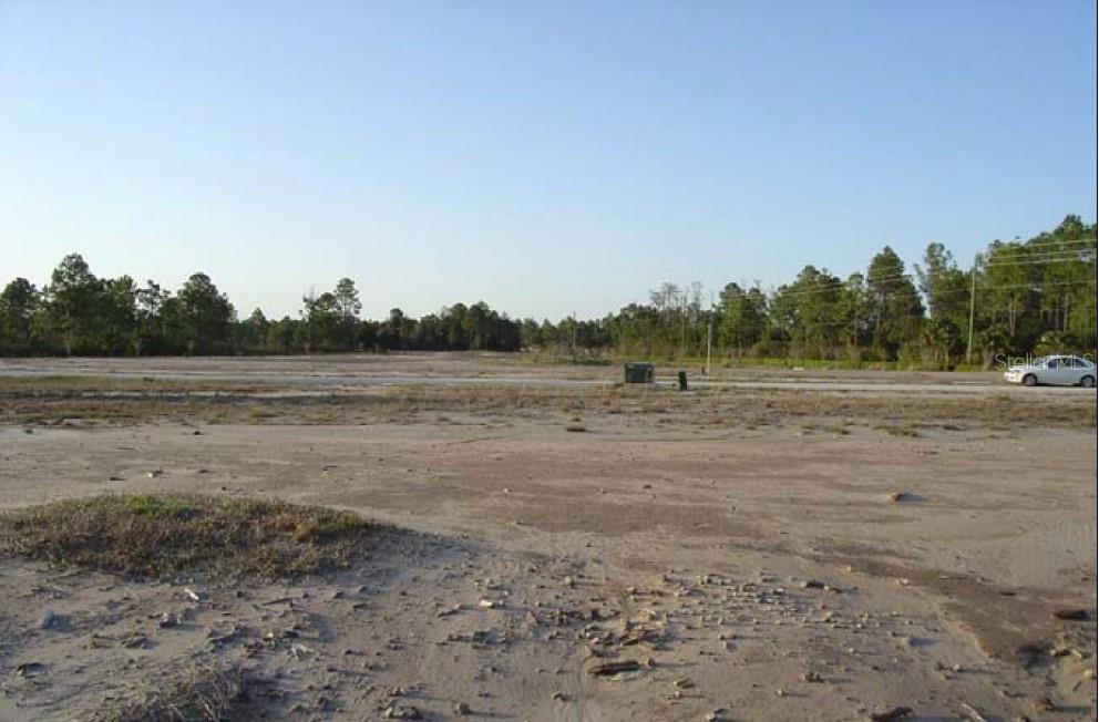 a view of a field with trees