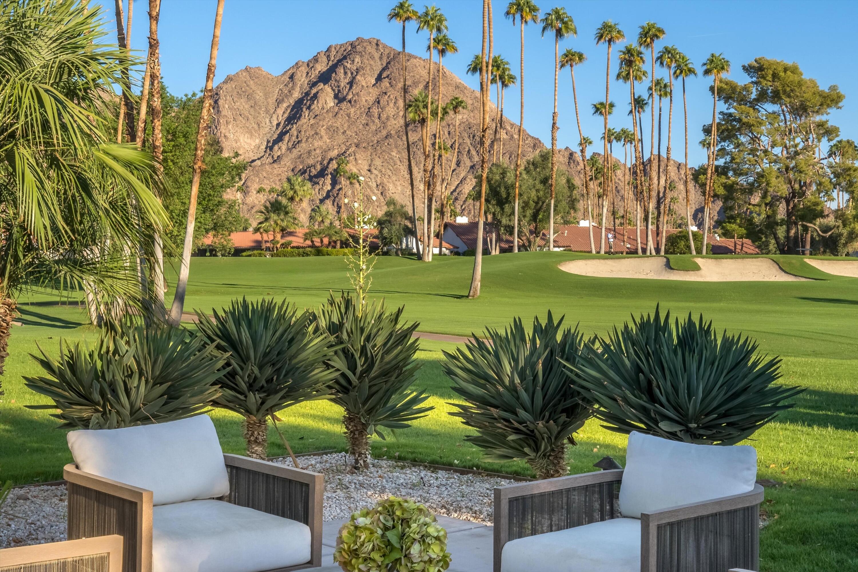 a view of a backyard with plants and palm trees