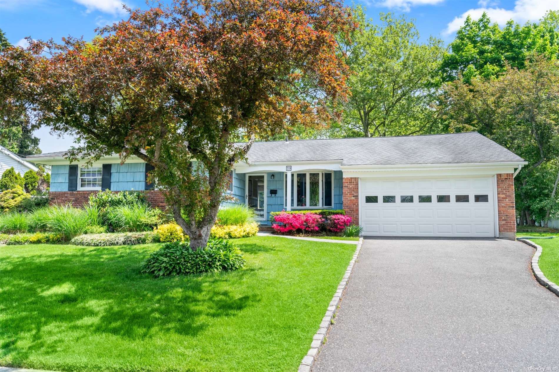 a front view of house with yard and green space