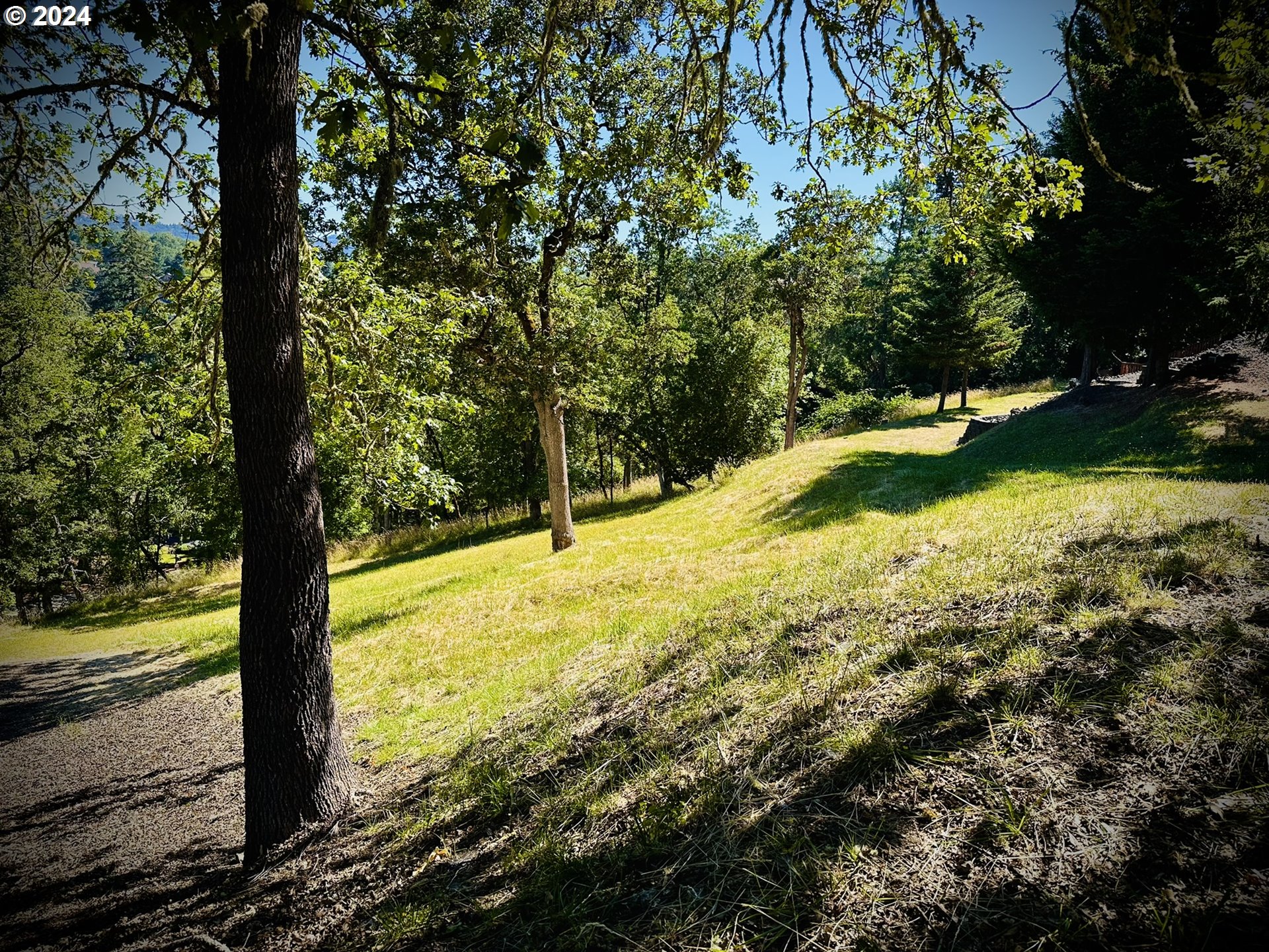 a view of a yard with trees