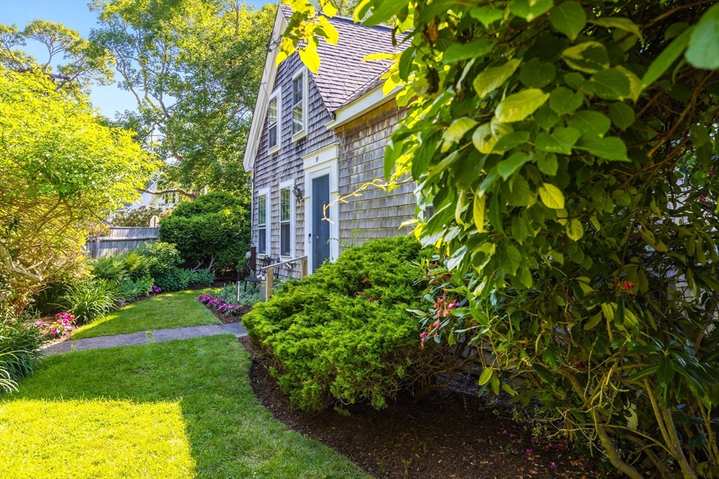 a view of a back yard of the house