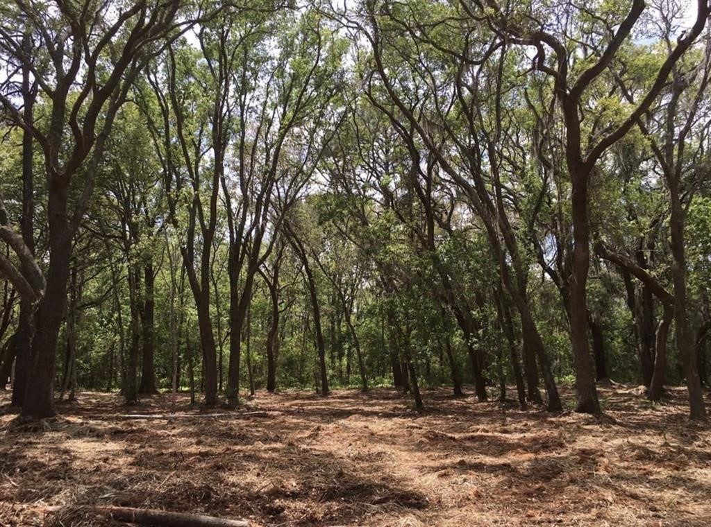 a view of outdoor space with trees