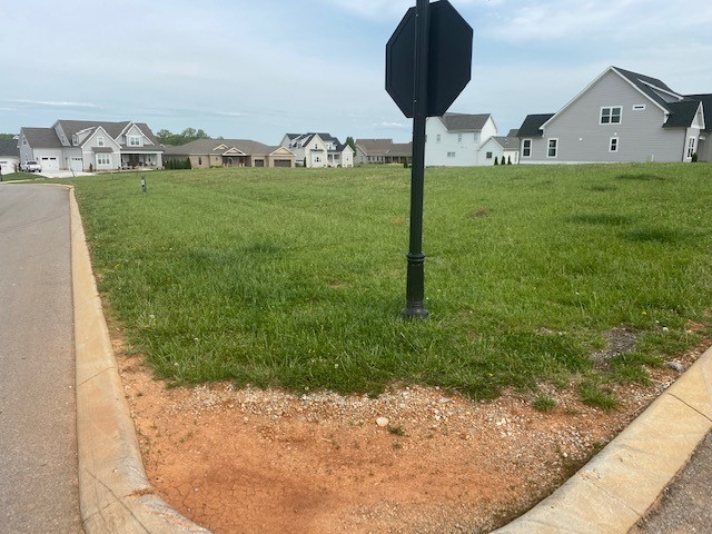 a view of a back yard