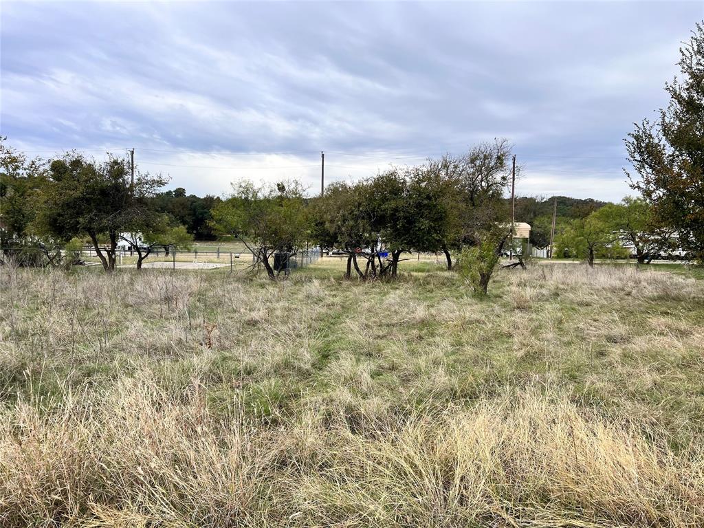 a view of outdoor space with garden and trees