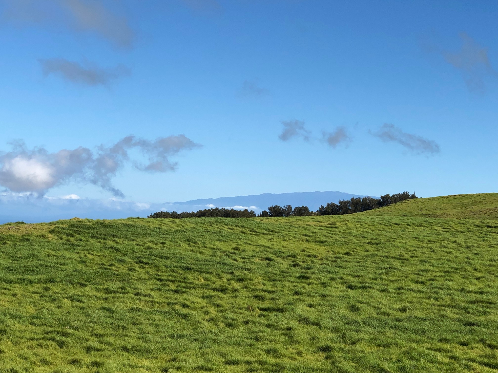 a view of a field with an ocean