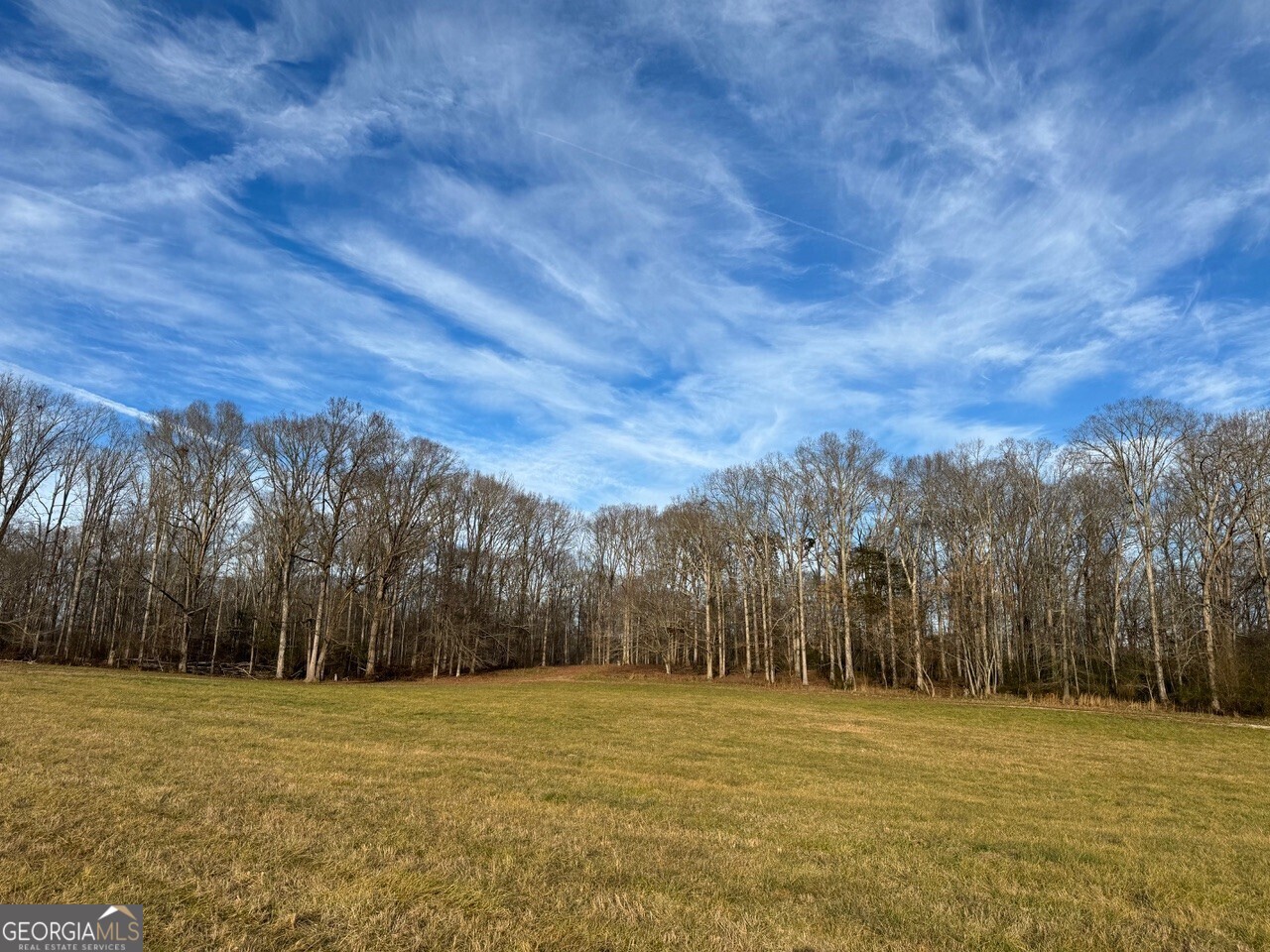 a view of big yard with a tree