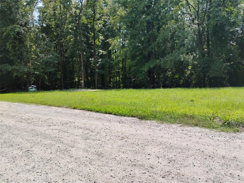 a view of a field with a trees in the background