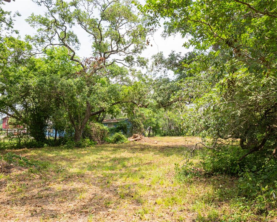 a view of a yard with a tree