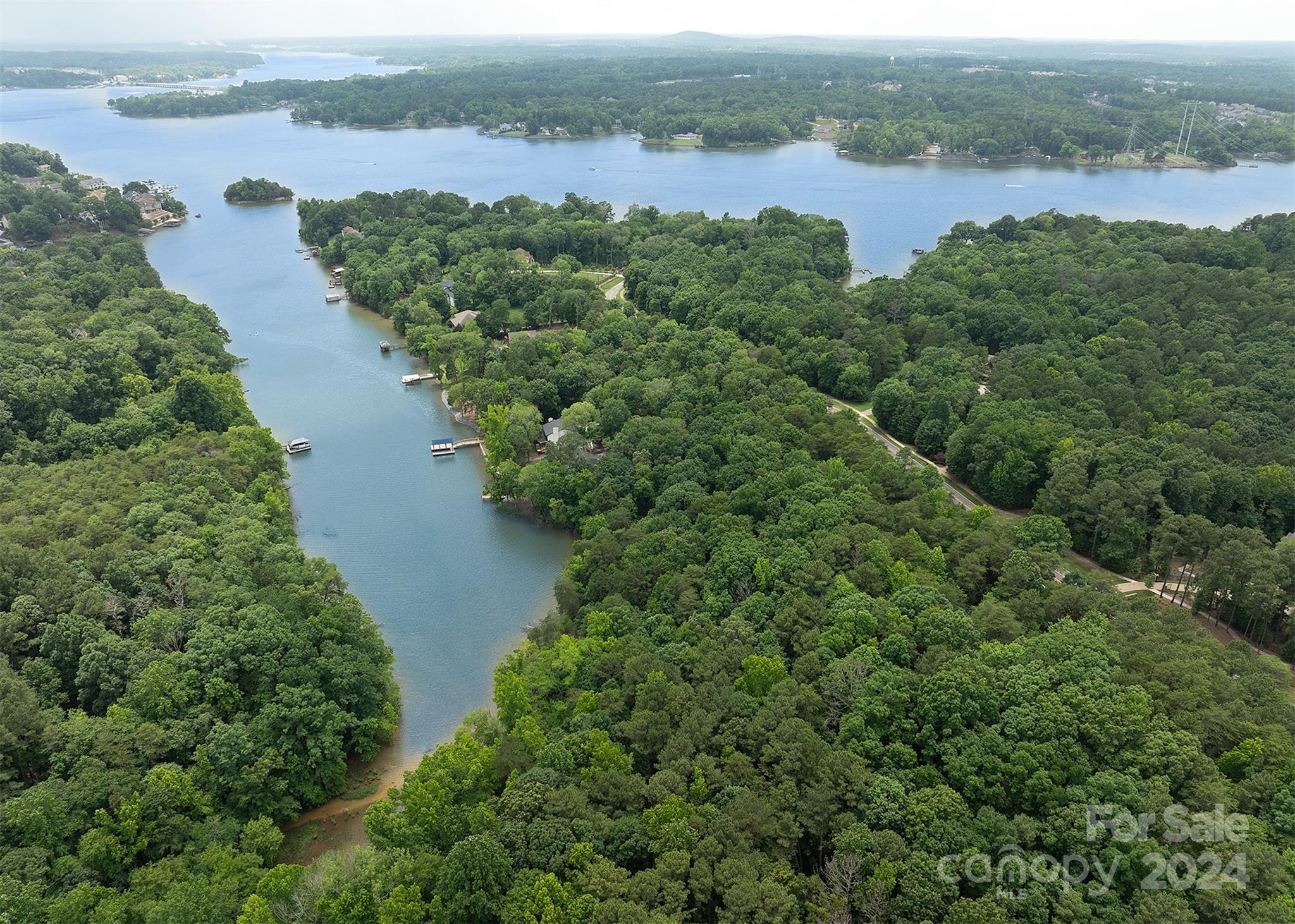 an aerial view of green landscape with trees houses and lake view