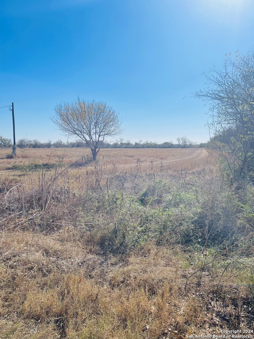 a view of a dry yard with wooden fence