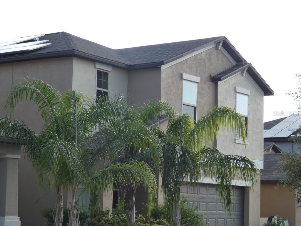 a view of a house with a plants