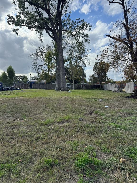 a view of a field with a tree