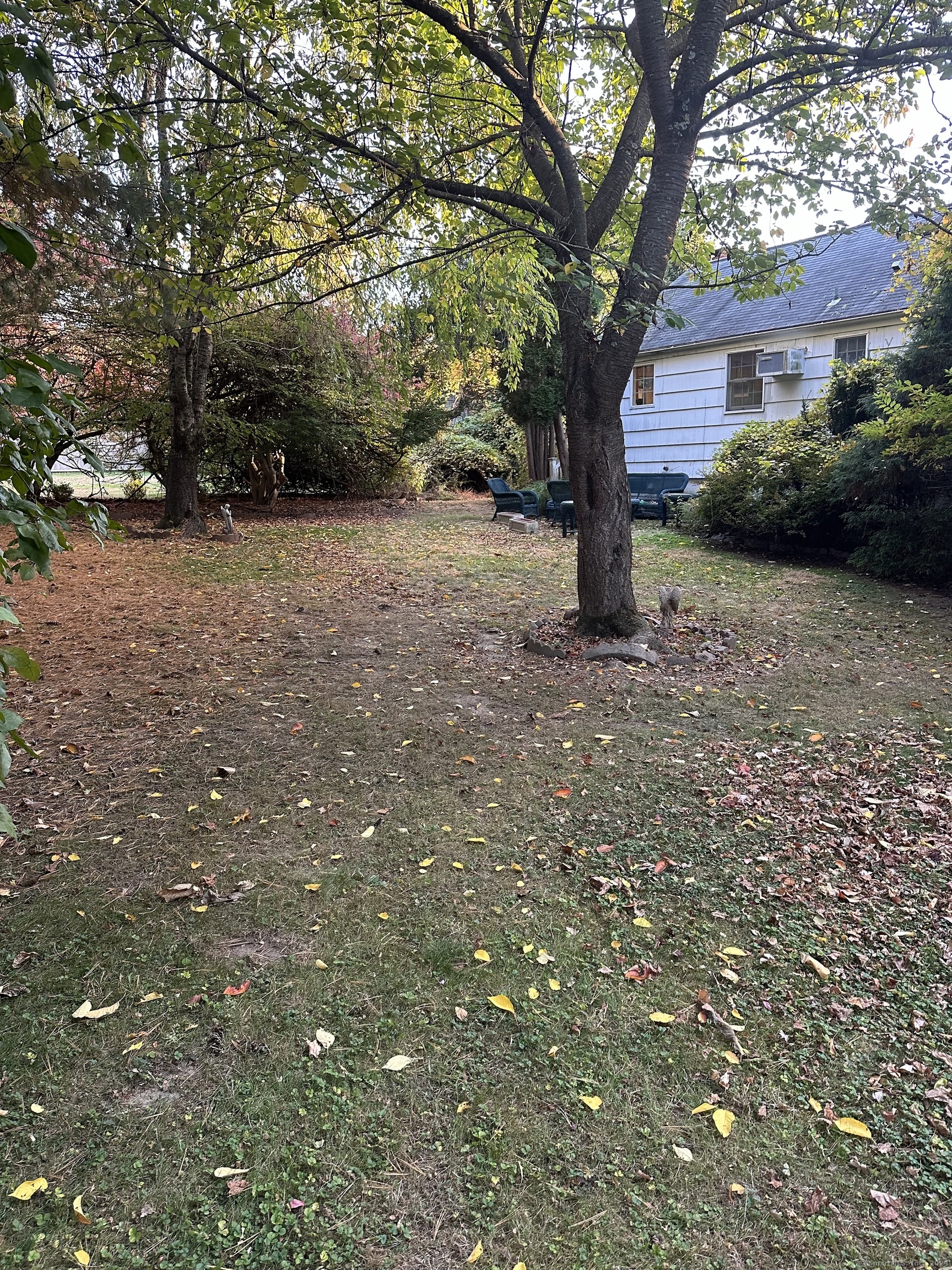 a view of a tree in front of a house