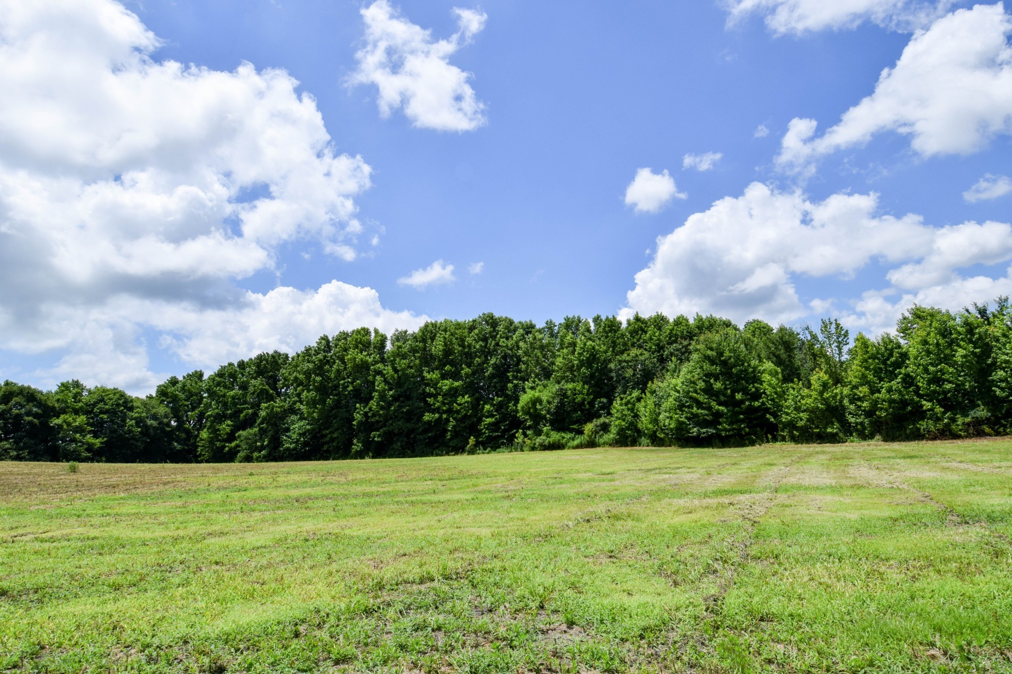 a view of a green yard