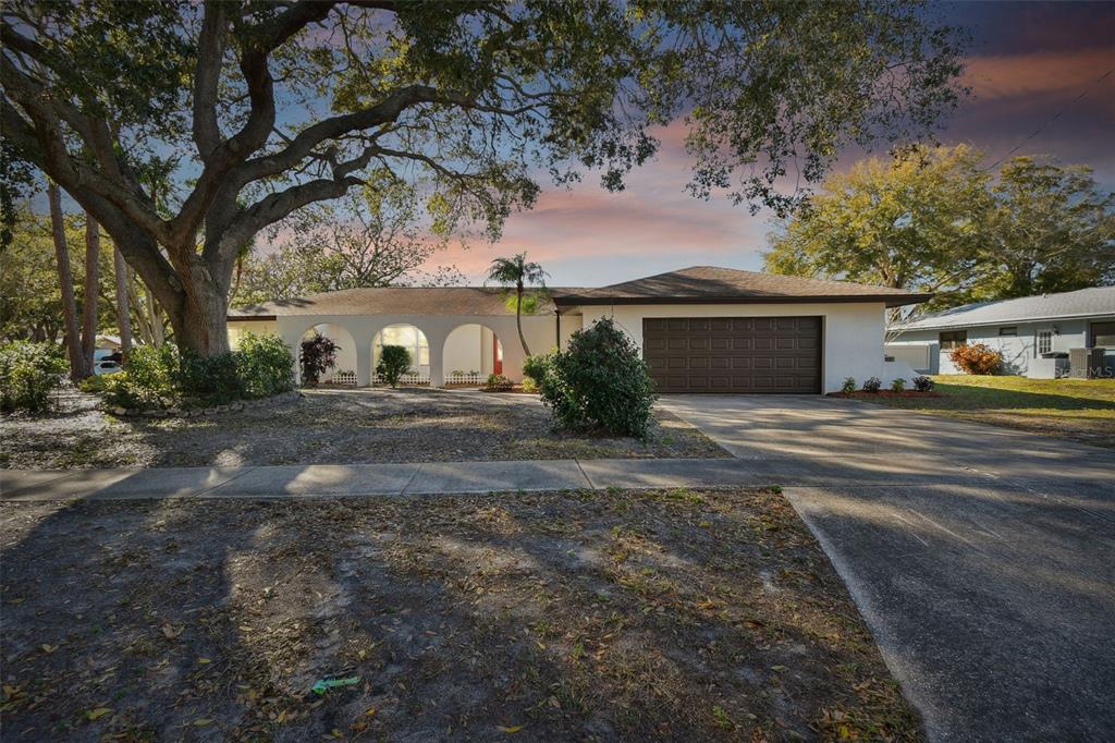 a view of house with outdoor space and tree