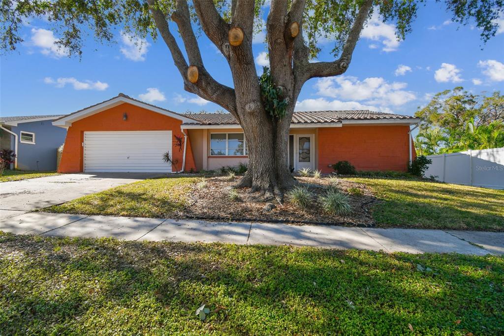 a front view of a house with a yard and large tree