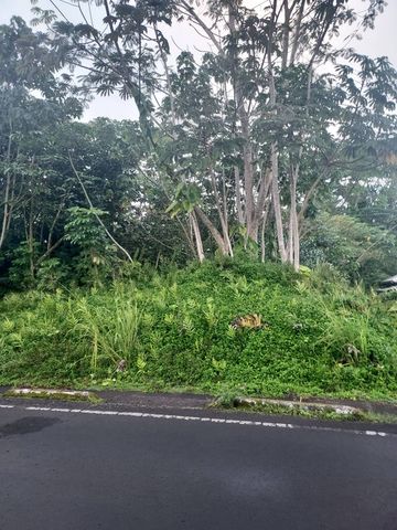 $22,000 | 15-714 Lot 27 Kahakai Boulevard | Hawaiian Parks