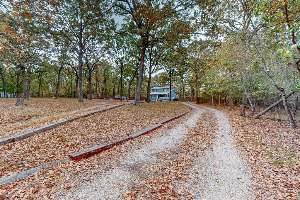 a view of a backyard with large trees