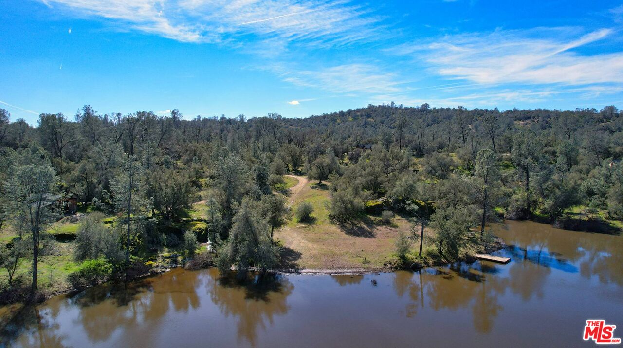 a view of a lake in middle of forest