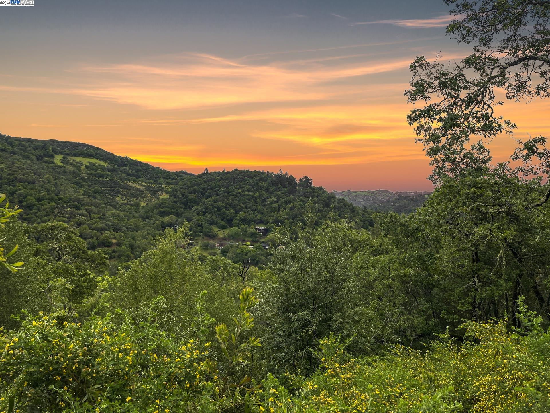 a view of a mountain in the distance in a field