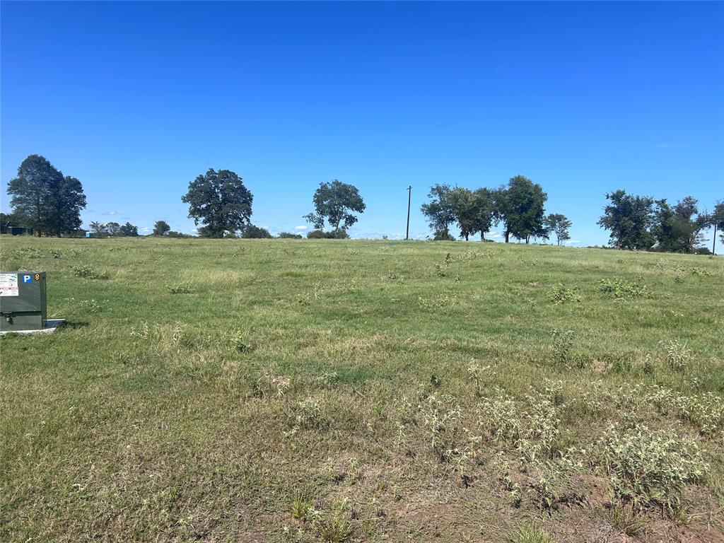 a view of a grassy area with an trees