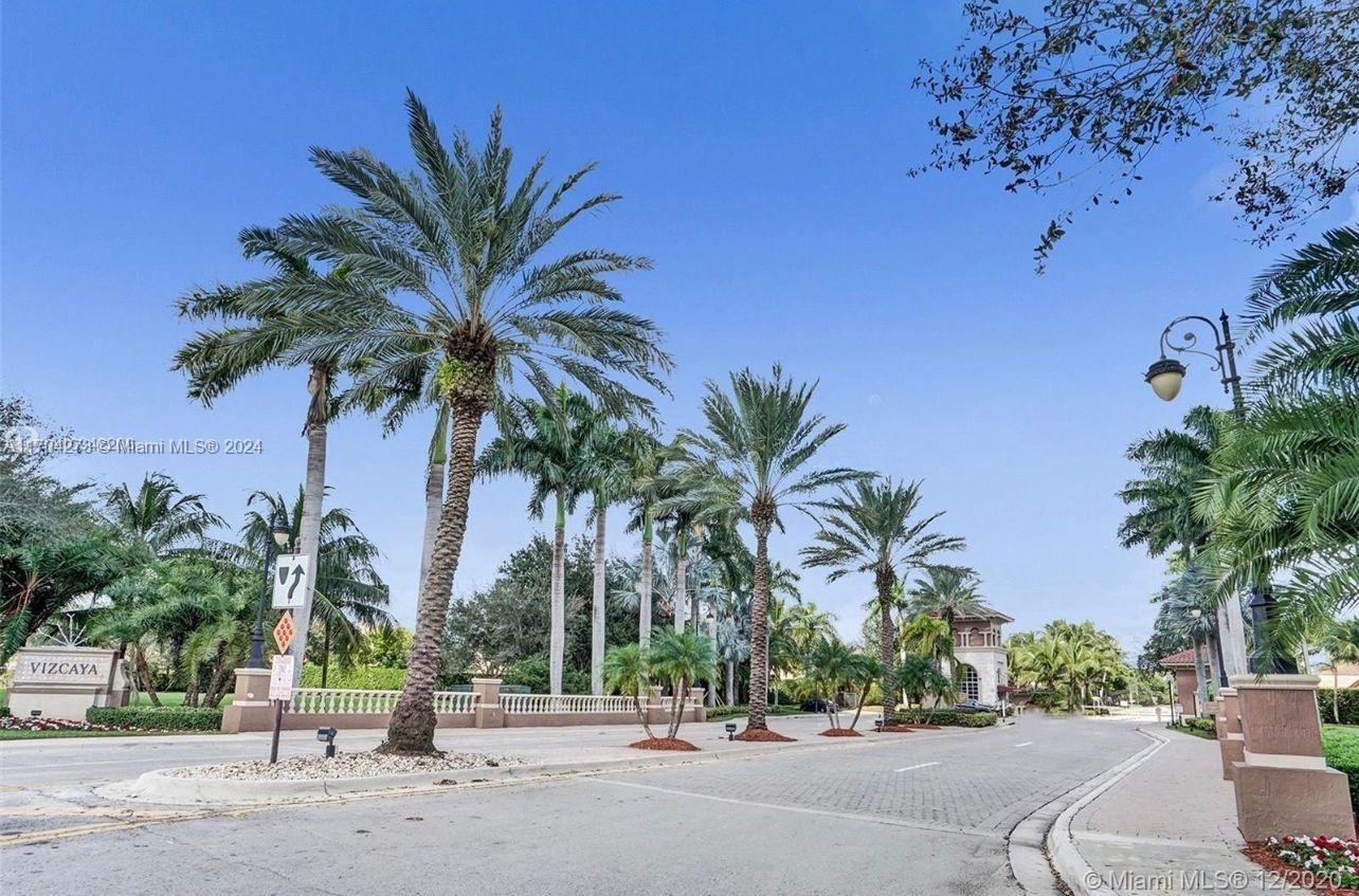 a view of road and with palm trees