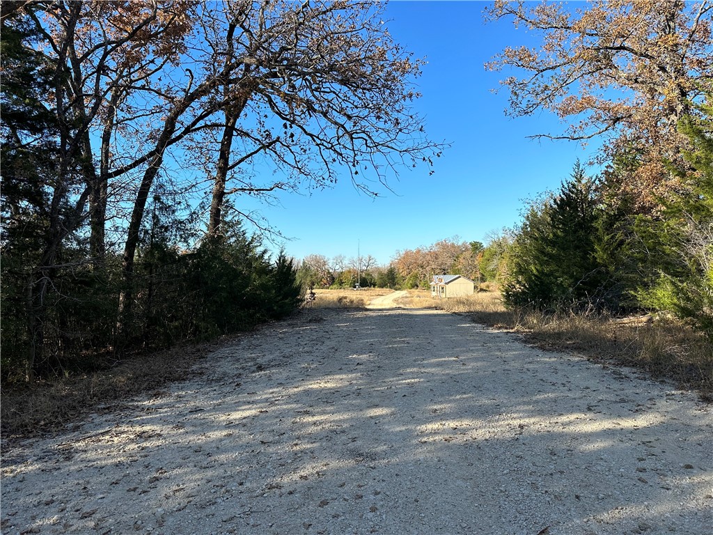 a view of a yard with a tree