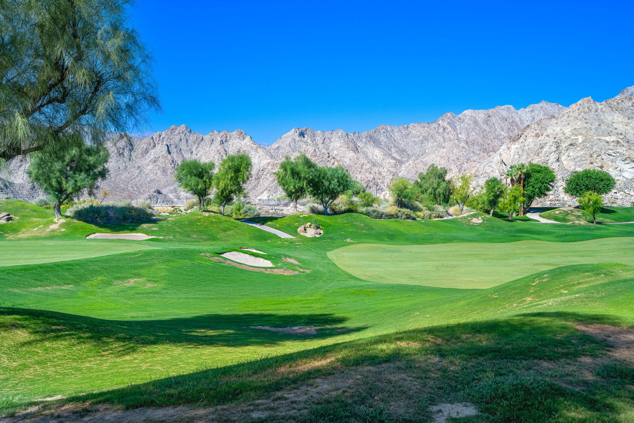 Palm Springs' Riviera Hotel transformative desert majesty