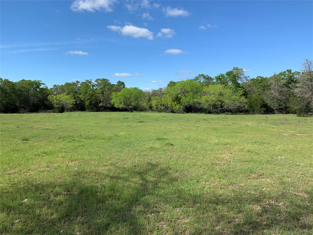 a view of a field with an trees