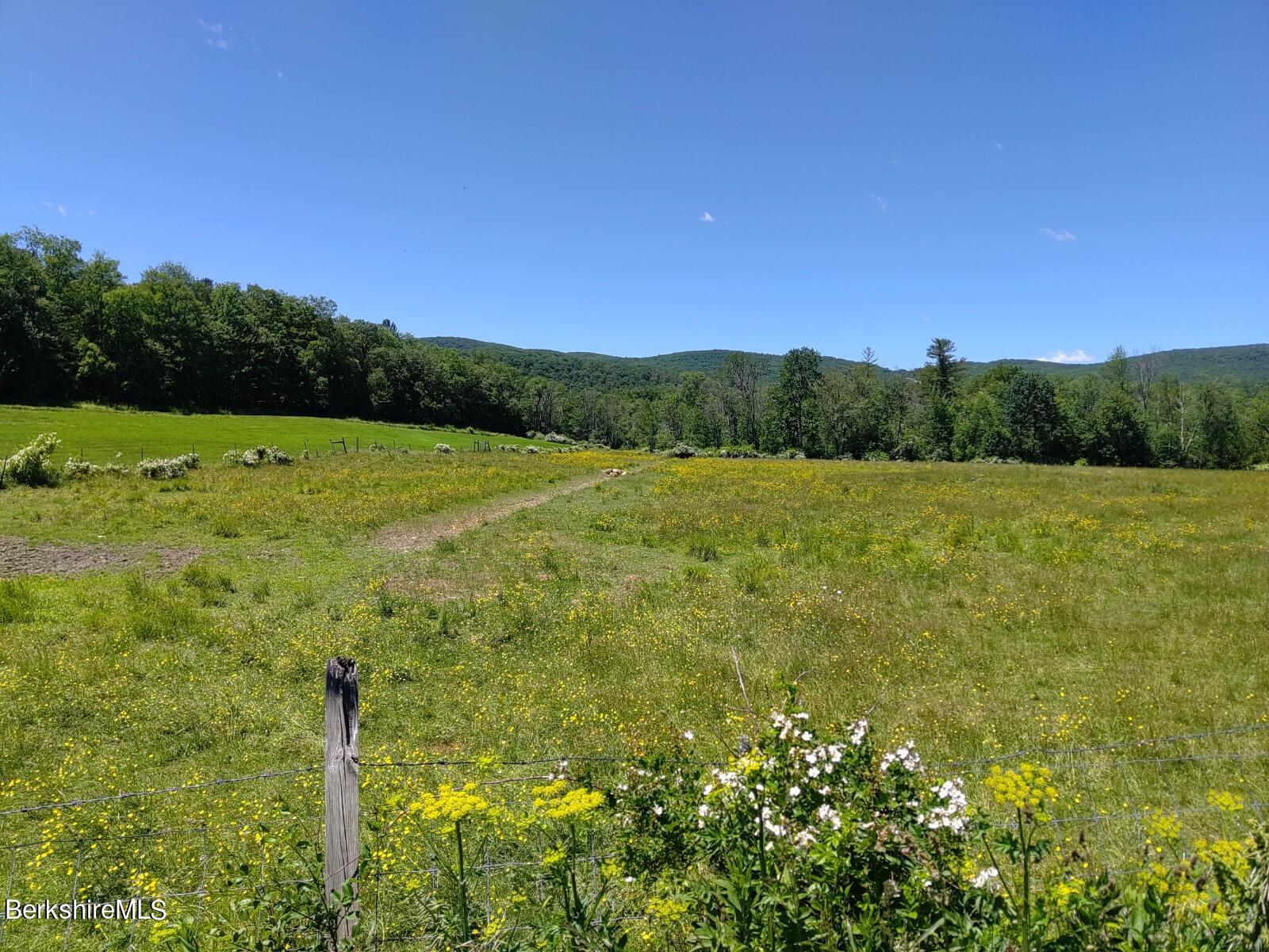 a view of a field with an ocean