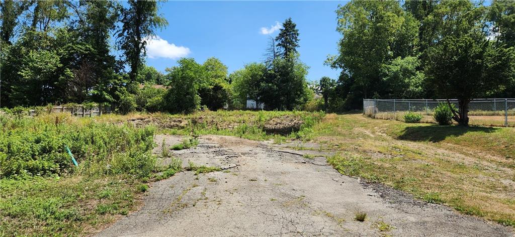 a view of a yard with plants and trees