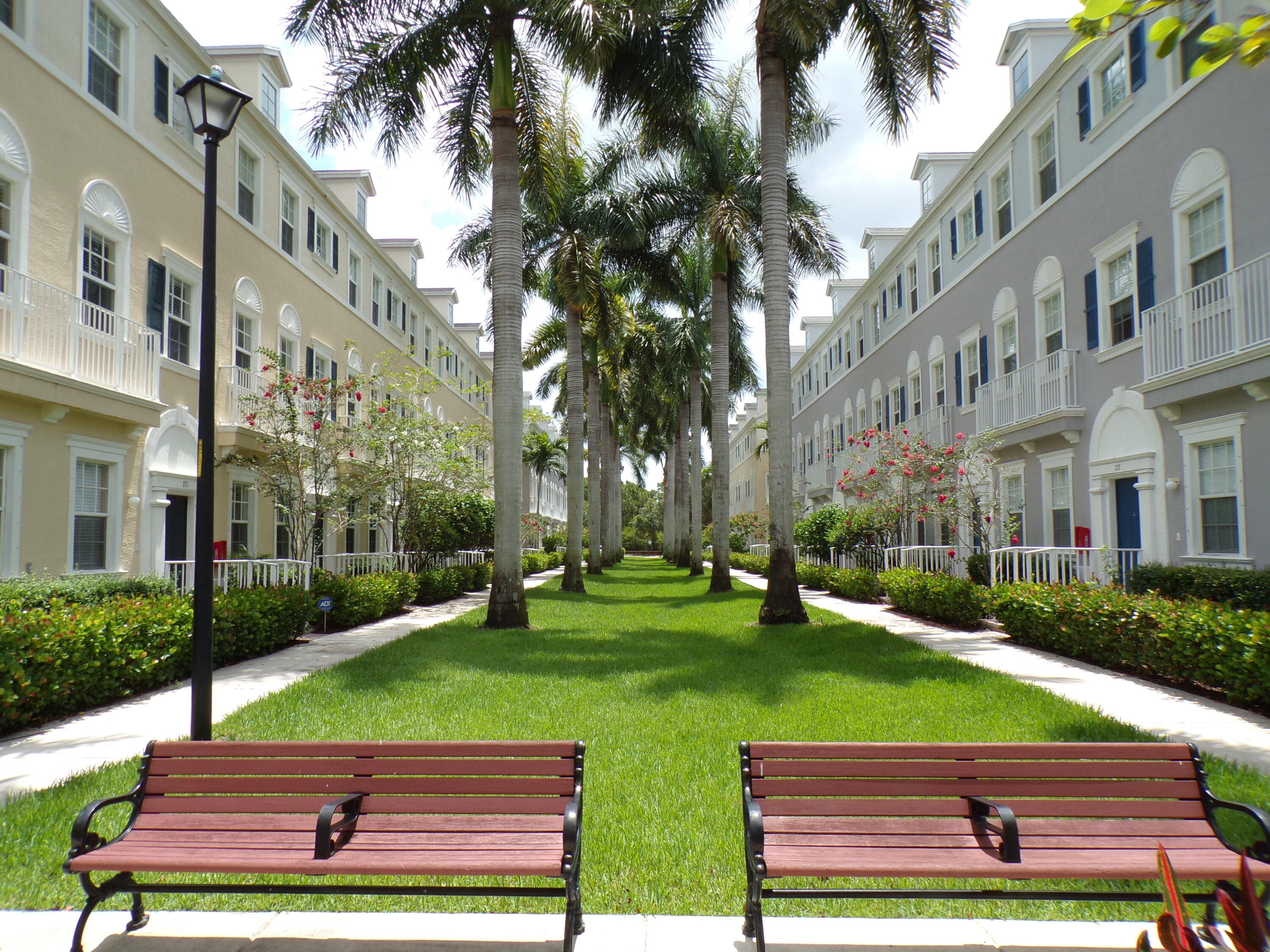 a view of a park with plants and trees