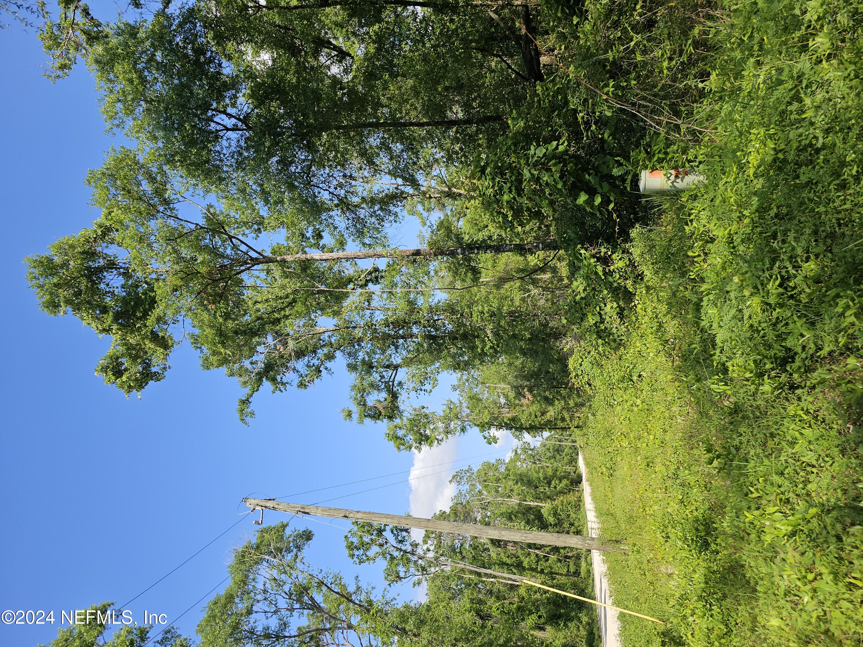 a view of a yard with a tree