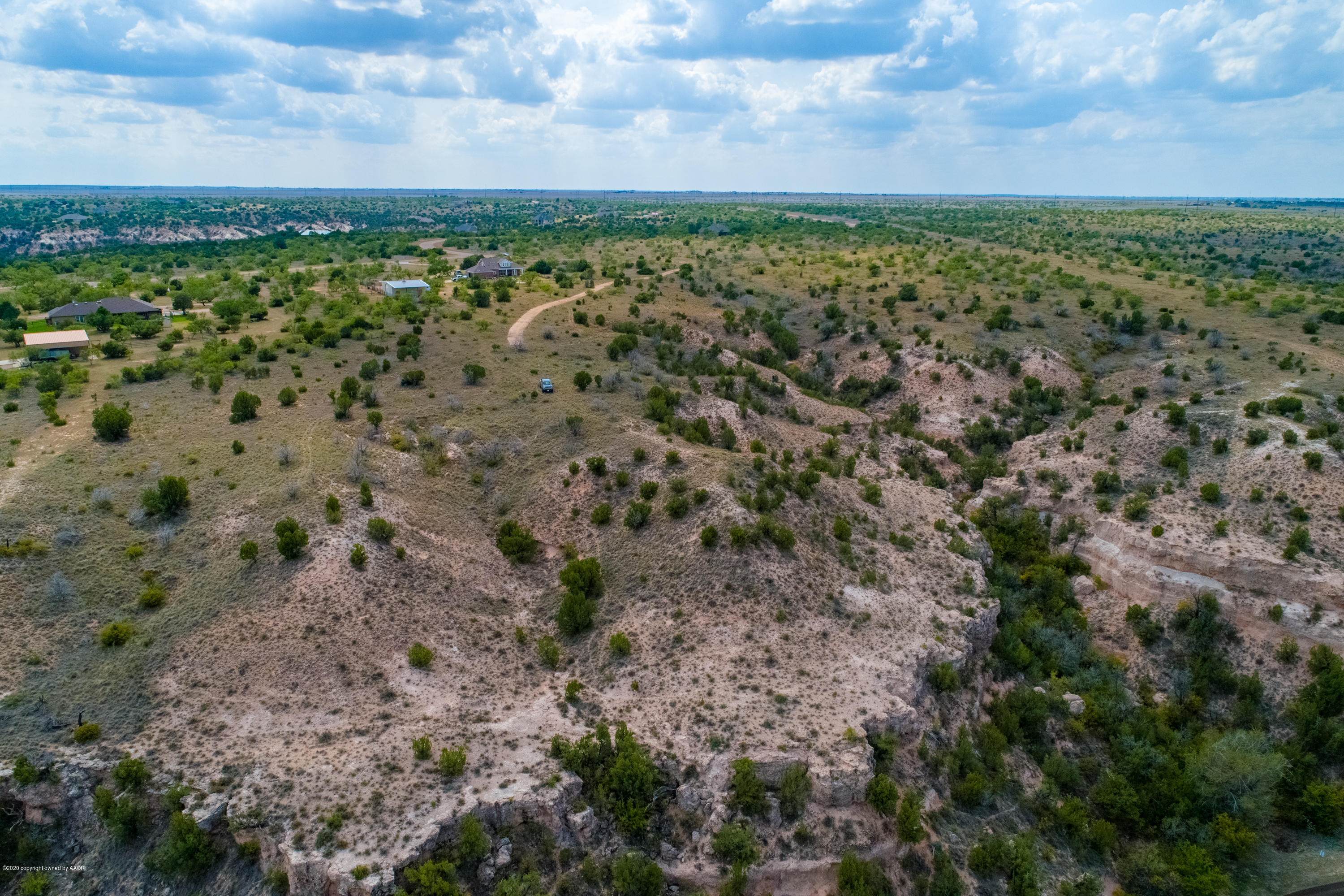 a view of a field with lots of trees