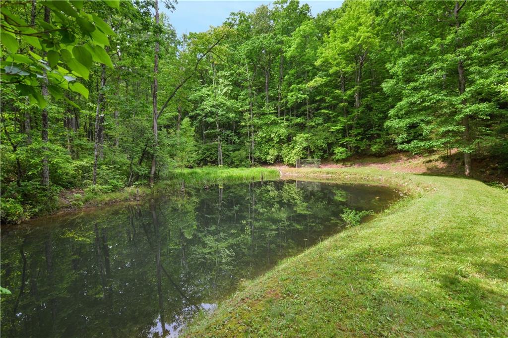 a view of a lake from a yard