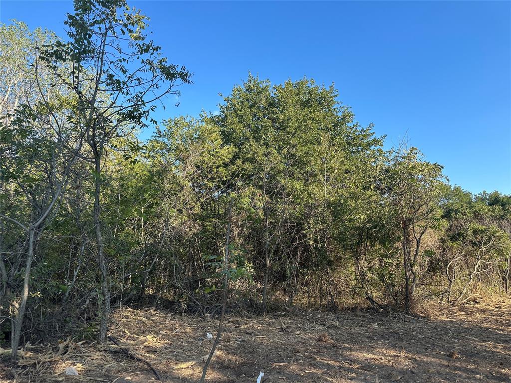 a view of a large yard with lots of bushes