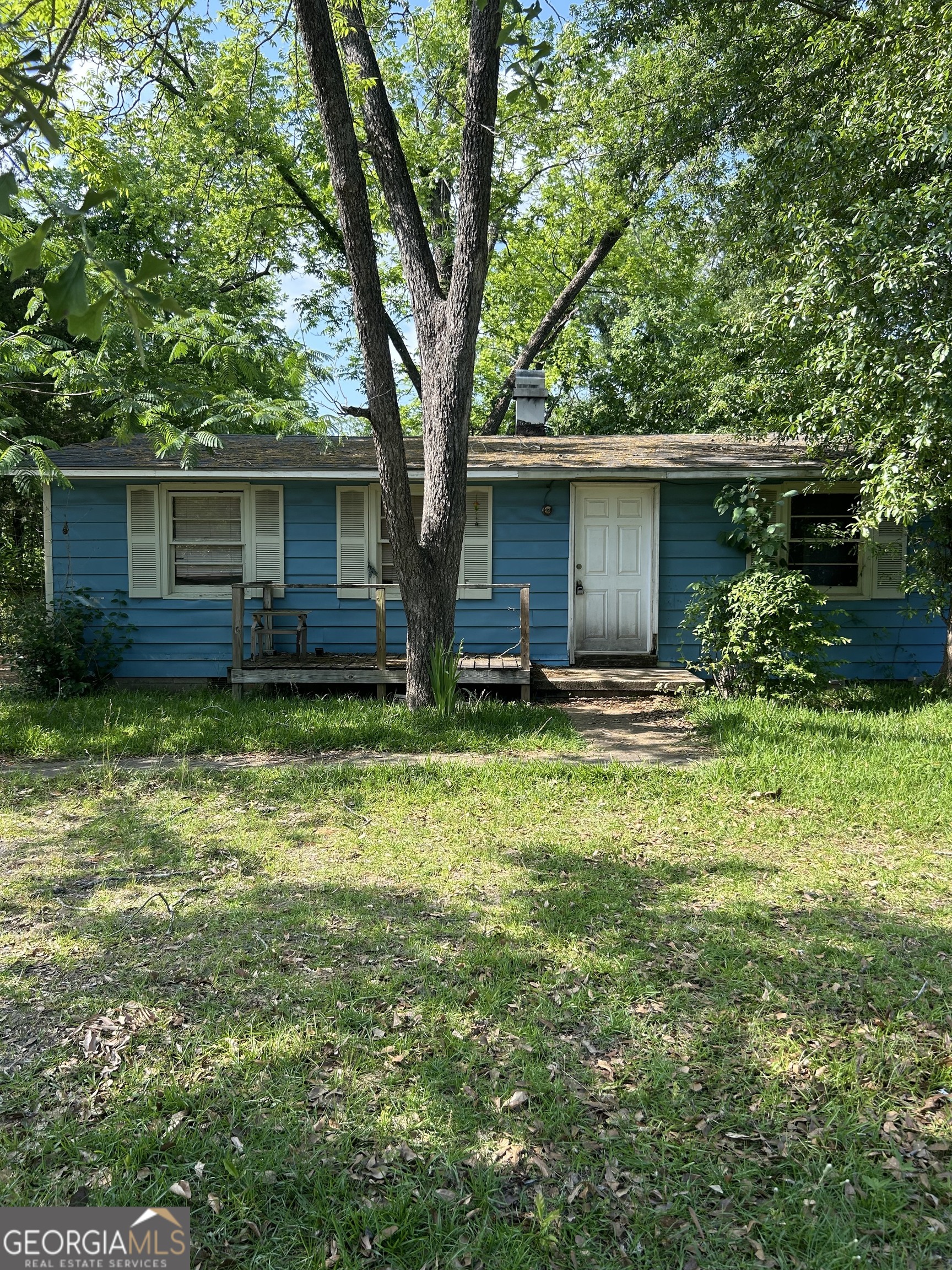 a backyard of a house with plants and large tree