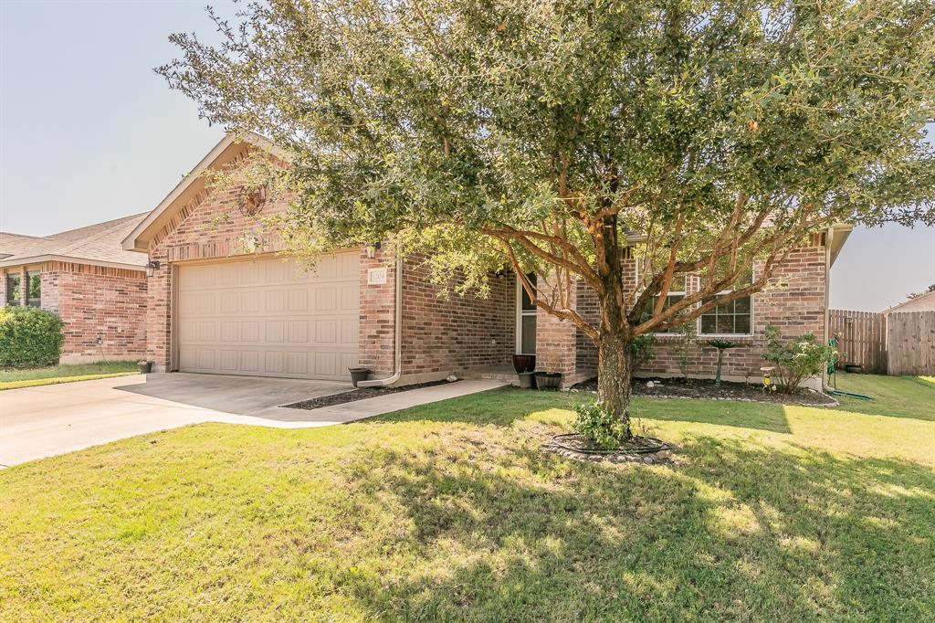 a view of a yard with a house and a tree