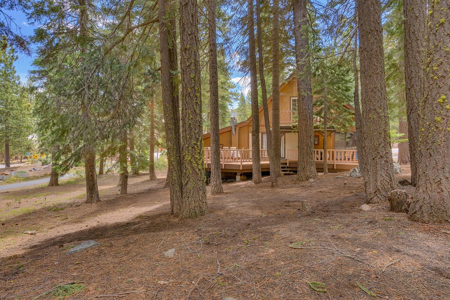 a view of a trees with a yard