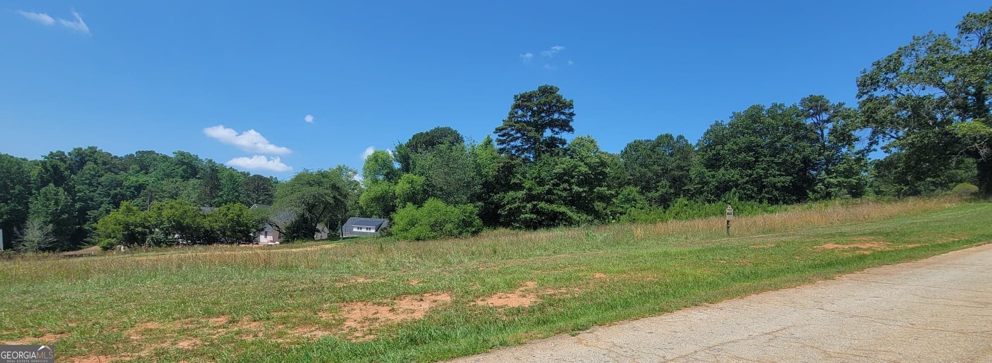 a view of a grassy field with trees in the background