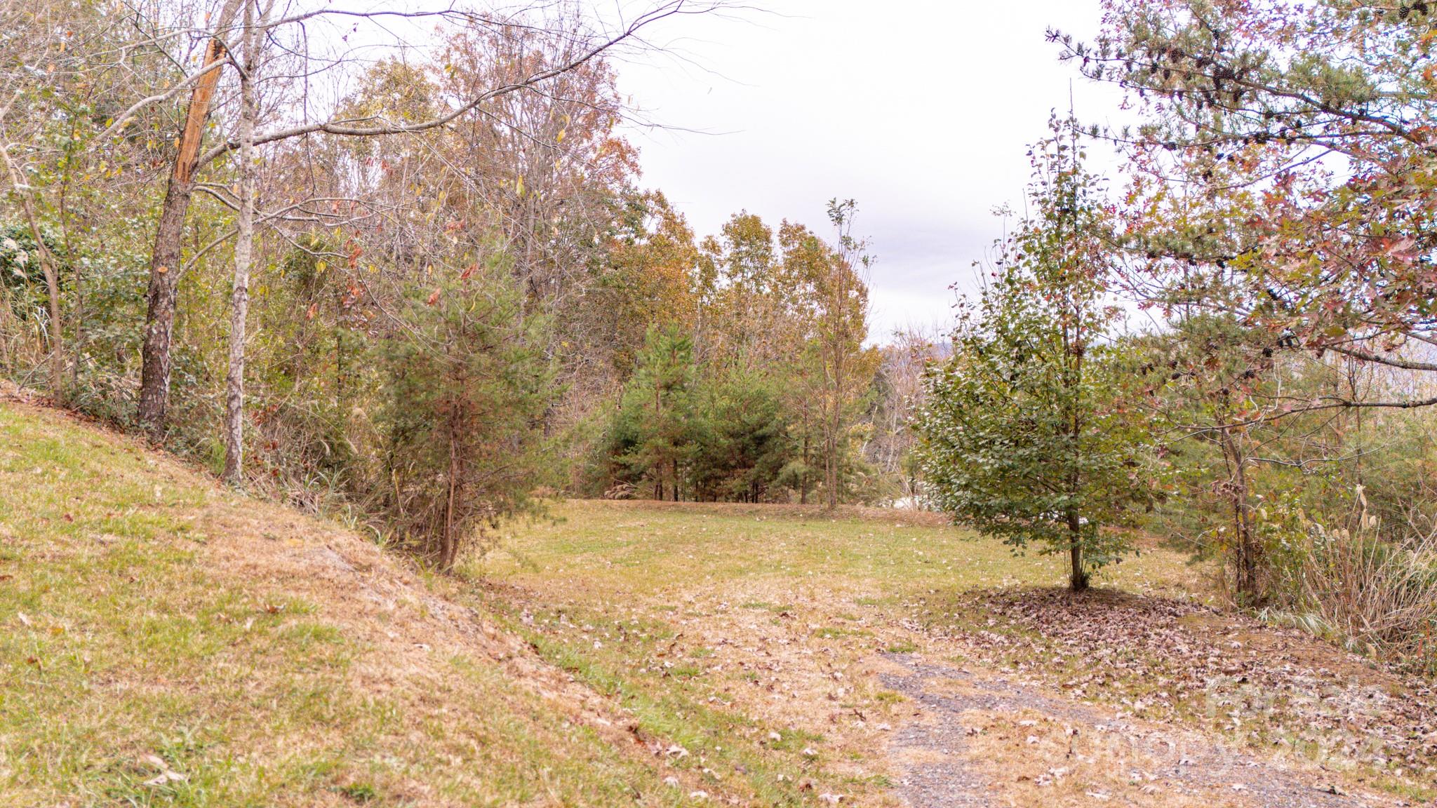 a view of a yard with trees