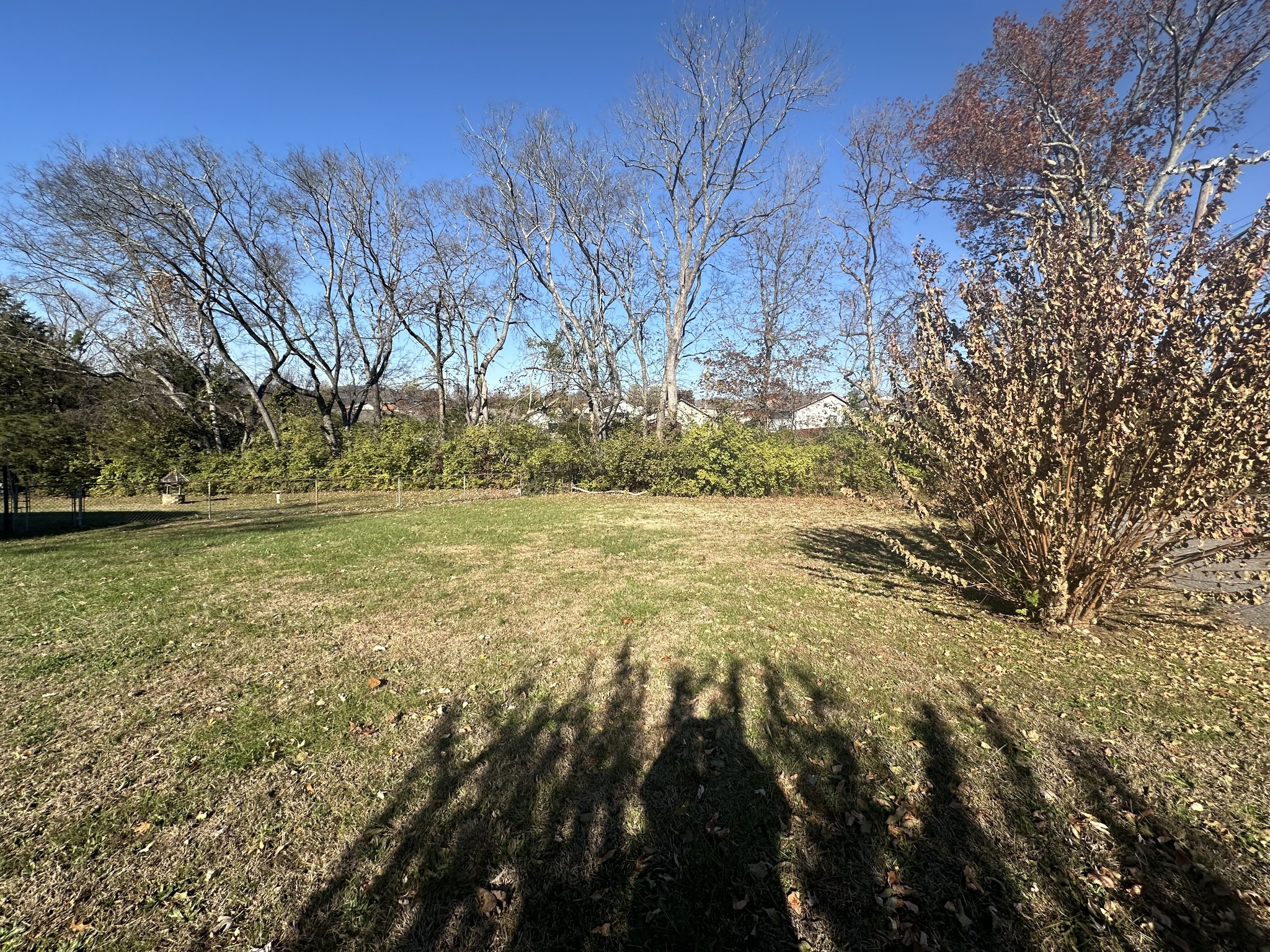 a view of outdoor space with yard