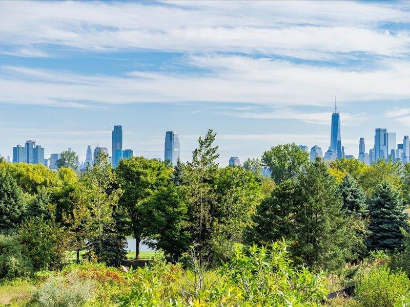 a city view with tall buildings