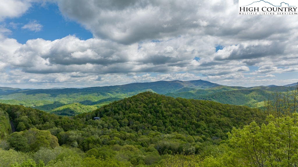 a view of a bunch of trees