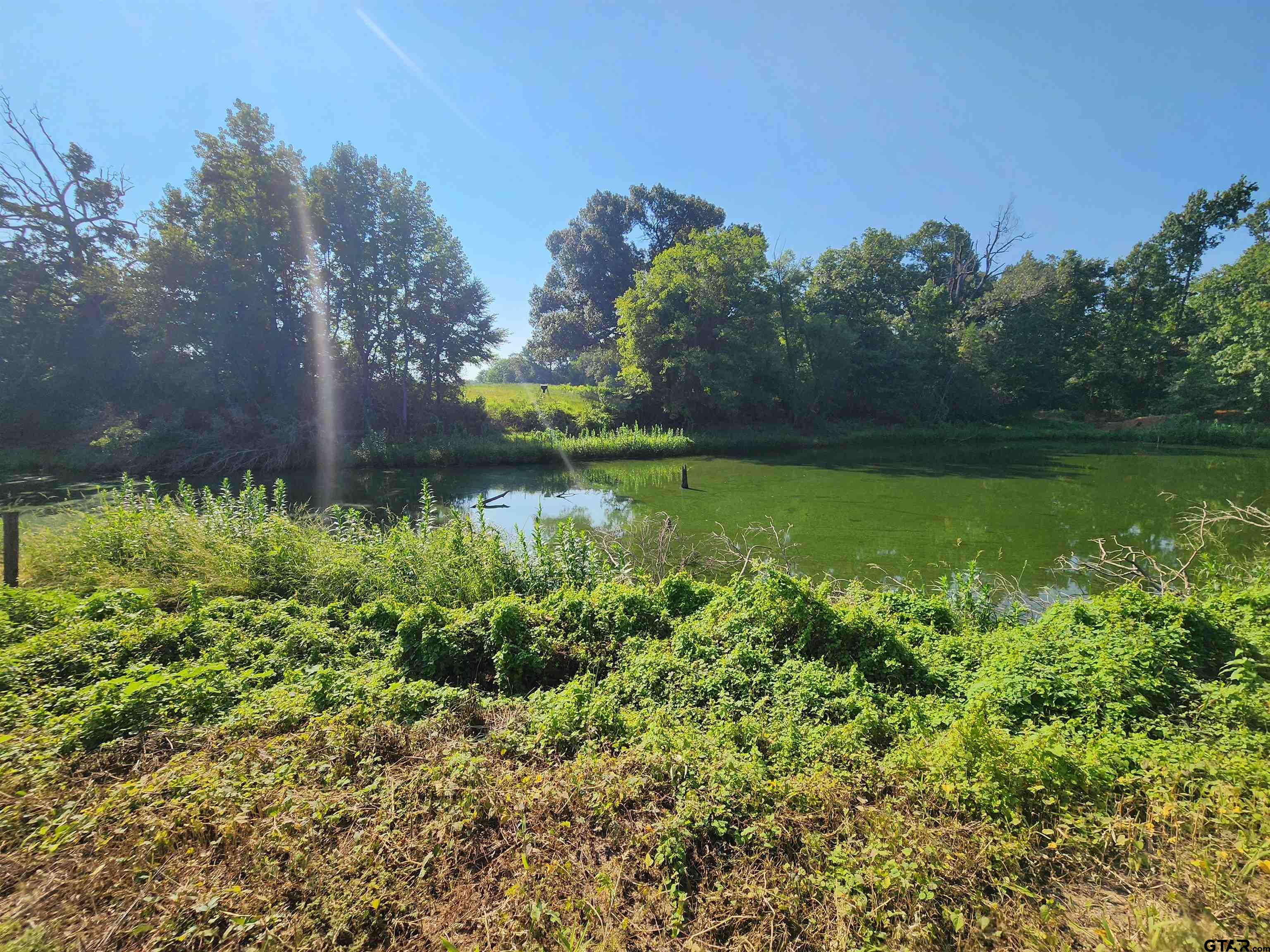 a view of a lake with a house in a yard