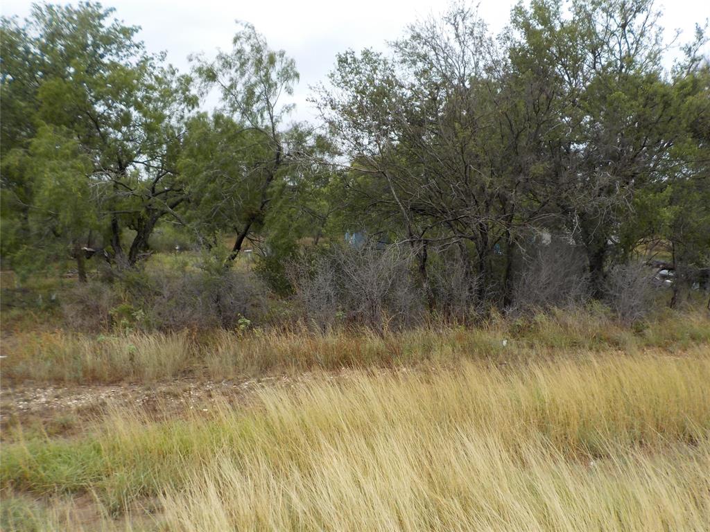 a view of a yard