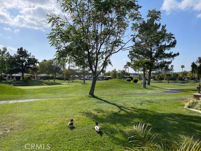 a view of a golf course