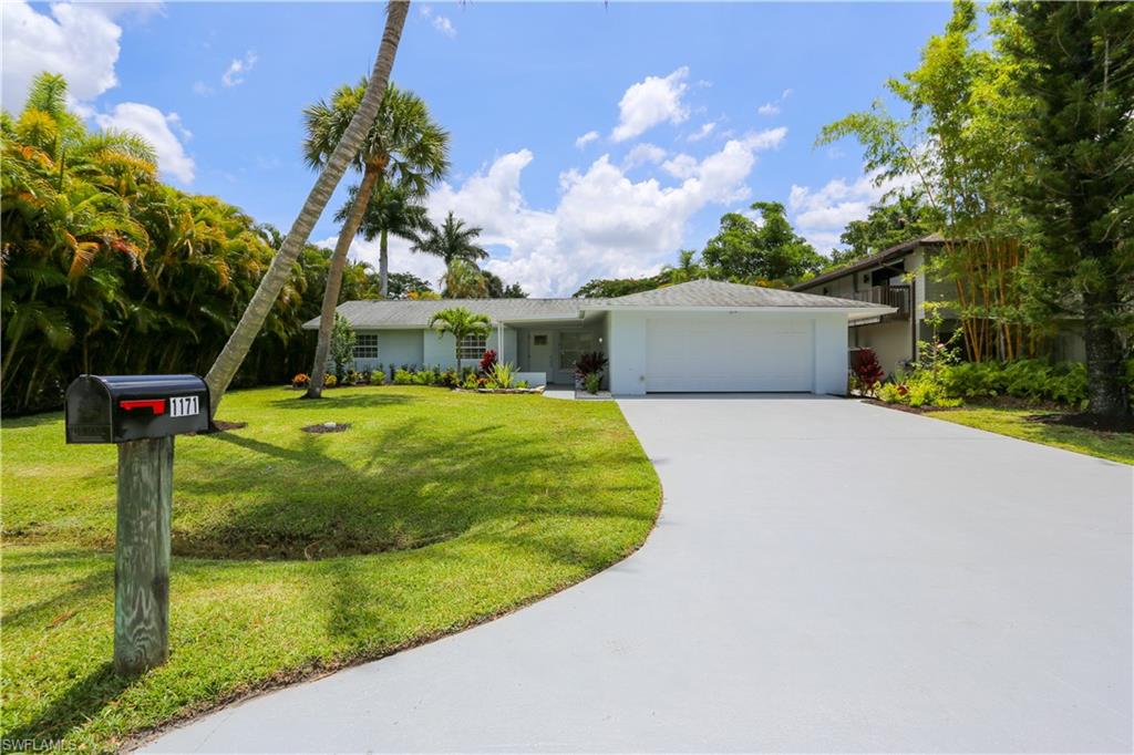 a view of a house with backyard and a tree