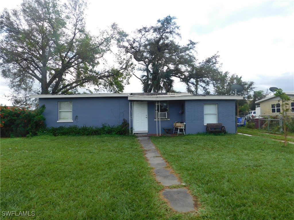 a view of a backyard with a large tree