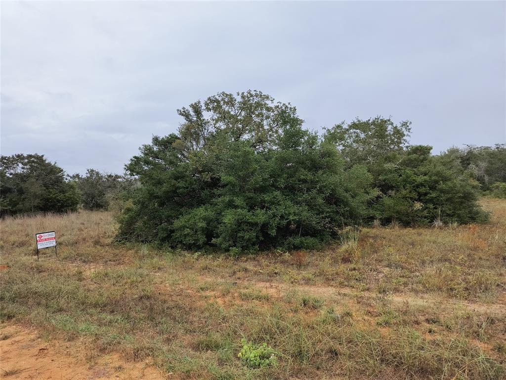 a view of a field with trees in the background